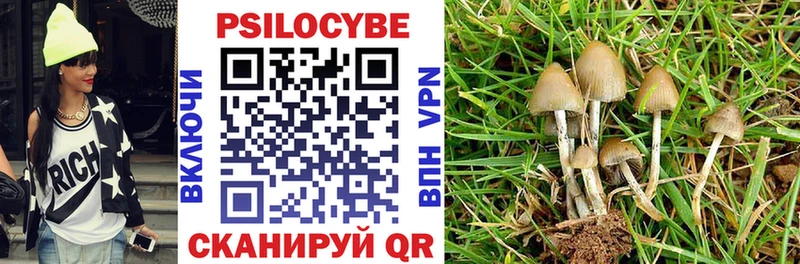 Галлюциногенные грибы MAGIC MUSHROOMS  дарнет шоп  маркетплейс как зайти  Краснообск 